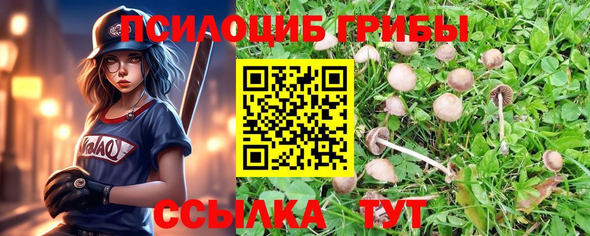 Псилоцибиновые грибы Magic Shrooms  Галлюциногенные грибы ЛСД  Вход с VPN  Пенза 