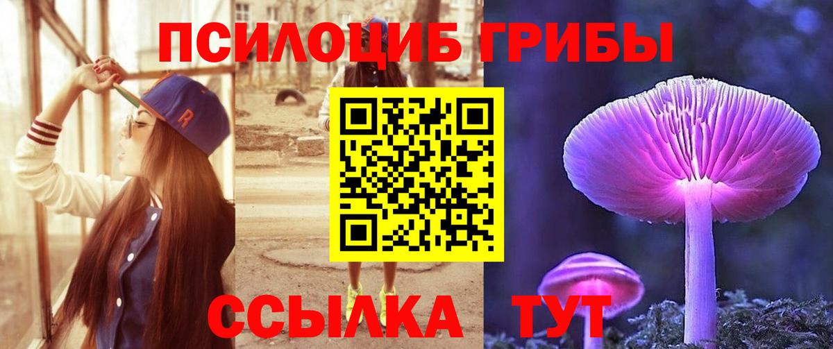 Галлюциногенные грибы Magic Shrooms Пенза
